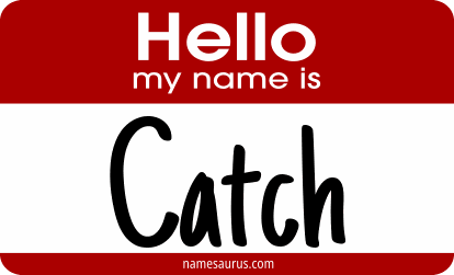 Hello my name is Catch png download
