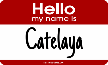 Hello my name is Catelaya png download