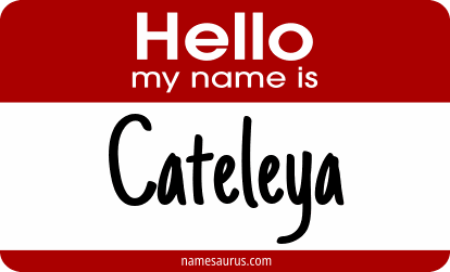 Hello my name is Cateleya png download