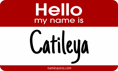 Hello my name is Catileya png download