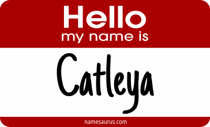 Hello my name is Catleya png download