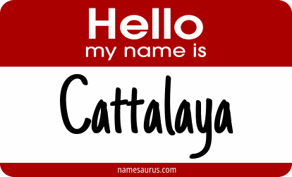 Hello my name is Cattalaya png download
