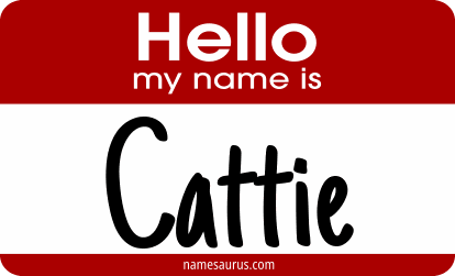 Hello my name is Cattie png download