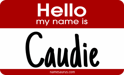 Hello my name is Caudie png download