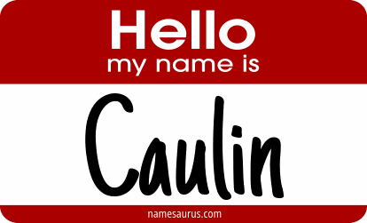 Hello my name is Caulin png download