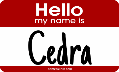 Hello my name is Cedra png download