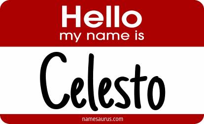 Hello my name is Celesto png download
