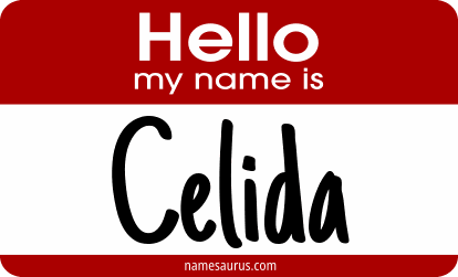 Hello my name is Celida png download