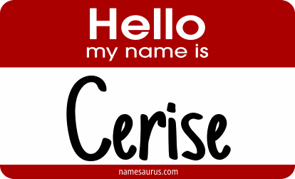 Hello my name is Cerise png download