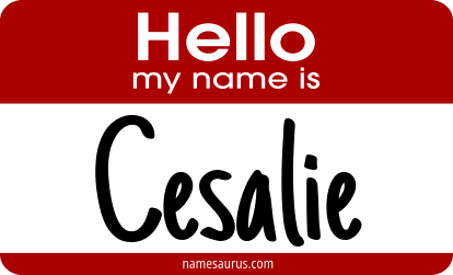 Hello my name is Cesalie png download
