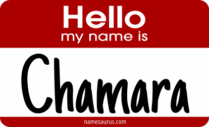 Hello my name is Chamara png download