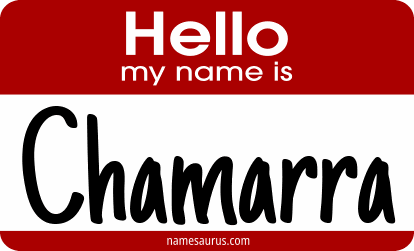 Hello my name is Chamarra png download