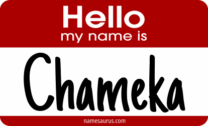 Hello my name is Chameka png download