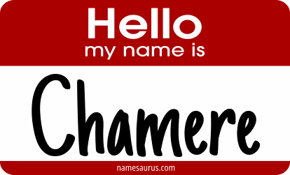 Hello my name is Chamere png download