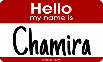 Hello my name is Chamira png download