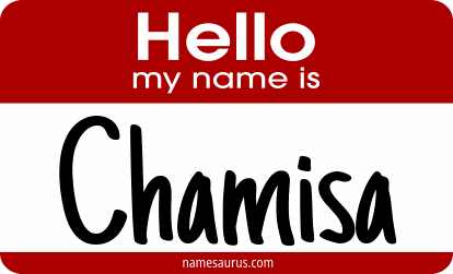 Hello my name is Chamisa png download