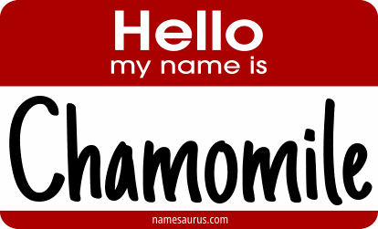 Hello my name is Chamomile png download