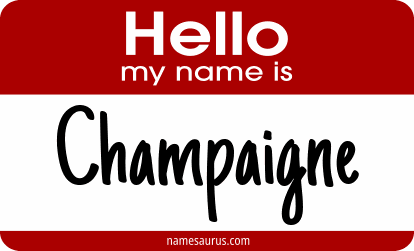 Hello my name is Champaigne png download