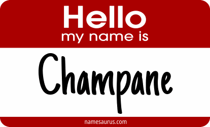 Hello my name is Champane png download