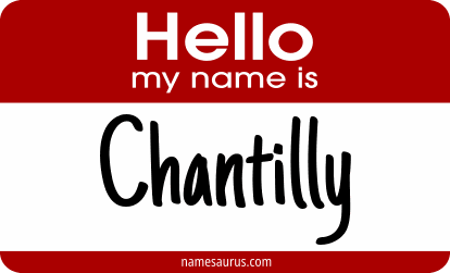 Hello my name is Chantilly png download