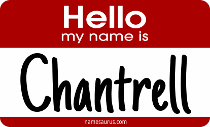 Hello my name is Chantrell png download