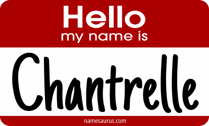 Hello my name is Chantrelle png download