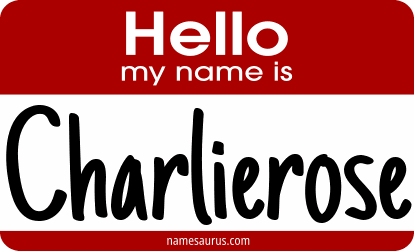 Hello my name is Charlierose png download