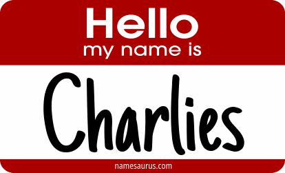 Hello my name is Charlies png download