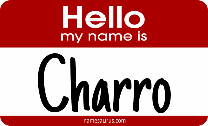 Hello my name is Charro png download