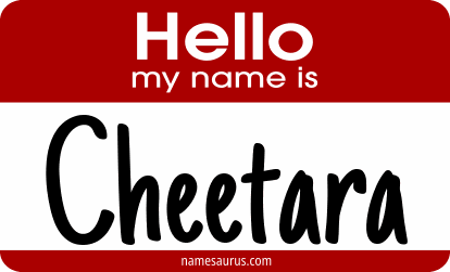 Hello my name is Cheetara png download