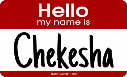 Hello my name is Chekesha png download