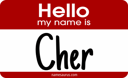 Hello my name is Cher png download