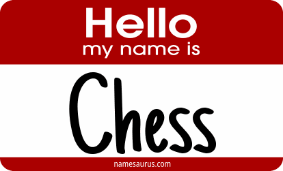 Hello my name is Chess png download