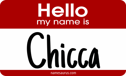 Hello my name is Chicca png download