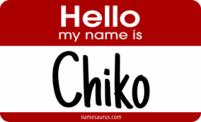 Hello my name is Chiko png download