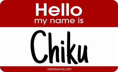Hello my name is Chiku png download