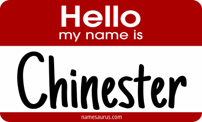 Hello my name is Chinester png download