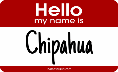 Hello my name is Chipahua png download