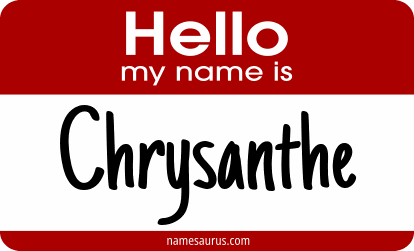 Hello my name is Chrysanthe png download