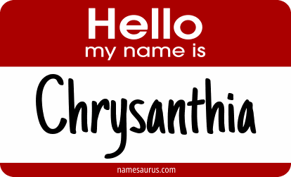 Hello my name is Chrysanthia png download
