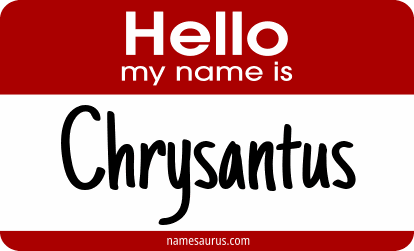 Hello my name is Chrysantus png download