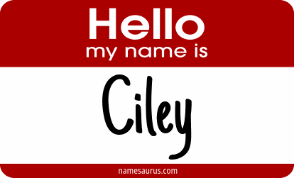 Hello my name is Ciley png download