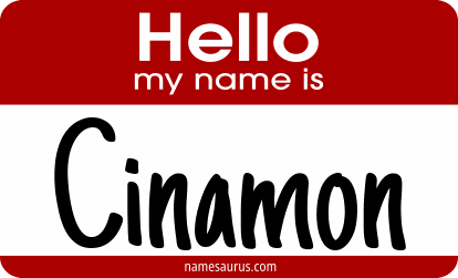 Hello my name is Cinamon png download