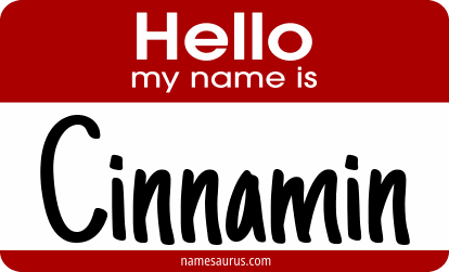 Hello my name is Cinnamin png download
