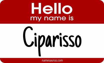 Hello my name is Ciparisso png download