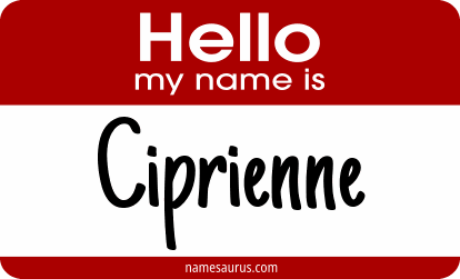 Hello my name is Ciprienne png download