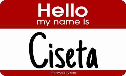 Hello my name is Ciseta png download