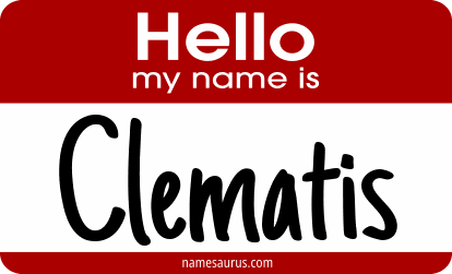 Hello my name is Clematis png download