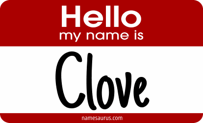 Hello my name is Clove png download