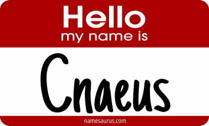 Hello my name is Cnaeus png download